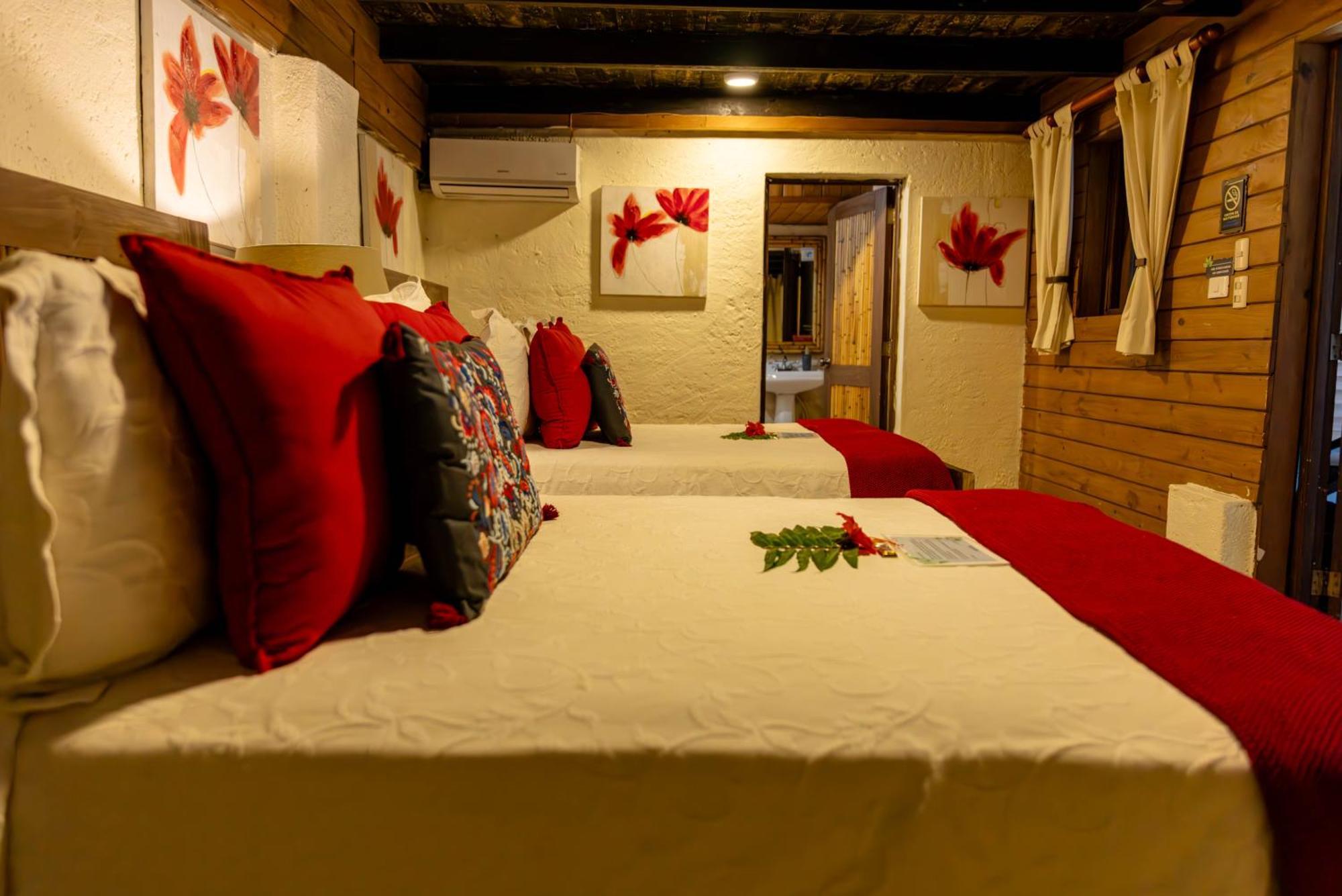 Platon Ecolodge Barahona Kültér fotó